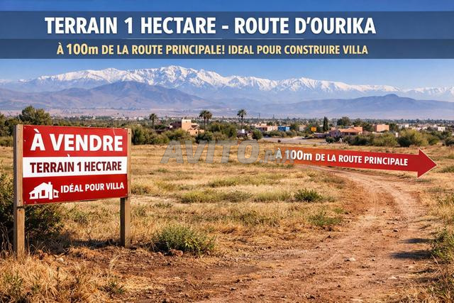 أرض مساحتها 1 هكتار على الطريق الرئيسي أوريكا - فيلا