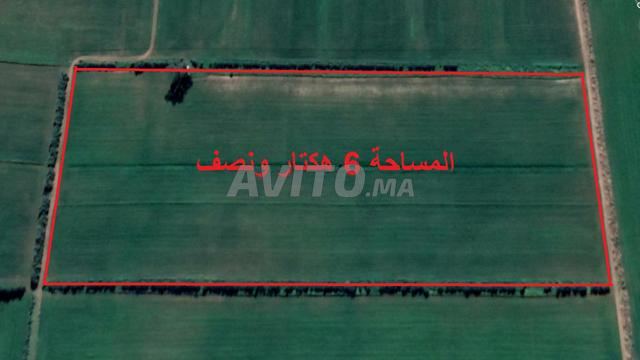 أراضي ومزارع للبيع في بئر جديد