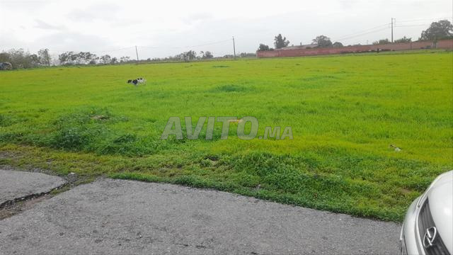 5000 M² en vente a rabat