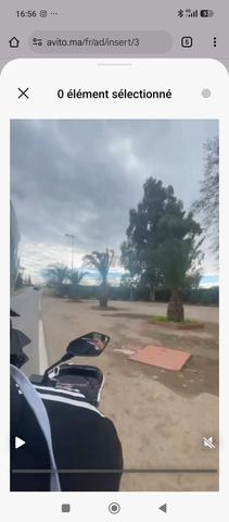 أرض فلاحية محفظة 6648م² بها 430 زيتونة – نواحي فاس