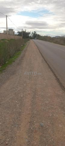 أرض للبيع بين مدينة بركان وأكليم - 2