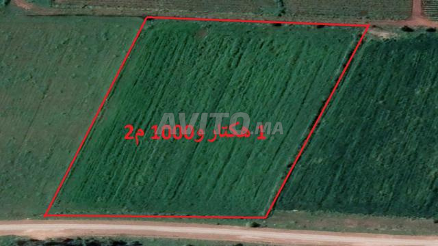 Vente de terrains et fermes à Sidi Rahal titrés