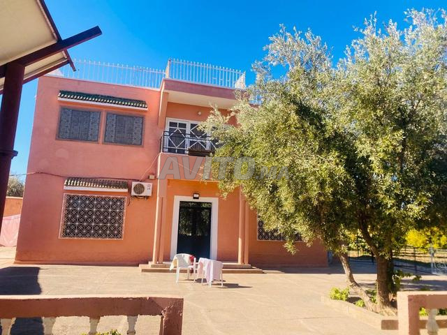 Ferme à vendre Titri d'une superficie d'un hectare