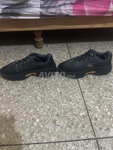 Basket Lacoste original