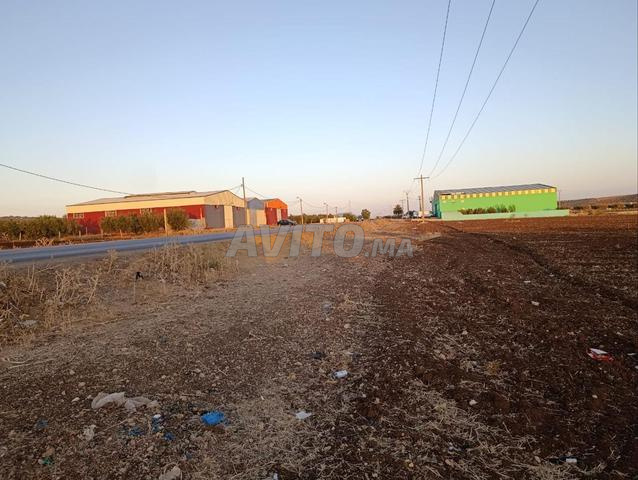 أرض فلاحية طريق عين الله