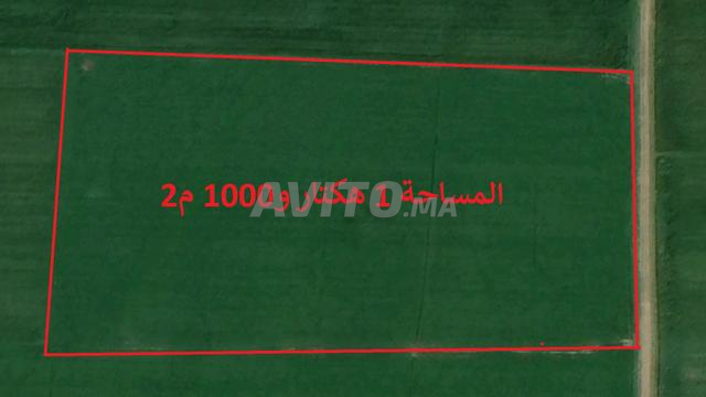 أراضي محفظة بير جديد للبيع بمساحات مختلفة - 2