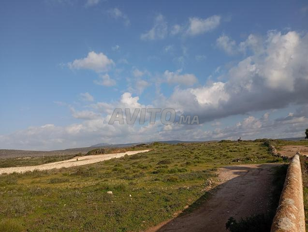 دوار أم العيون جماعة مولاي بوزرقطون إقليم الصويرة