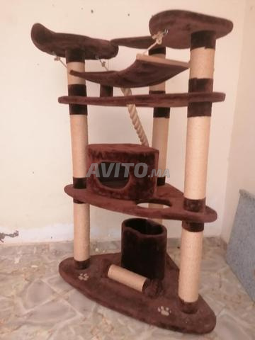 قصر قطط كبير بحالة جيدة 🐱 - 2