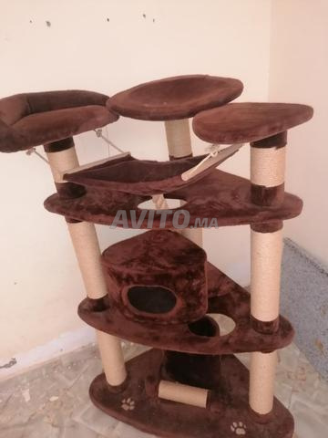 قصر قطط كبير بحالة جيدة 🐱