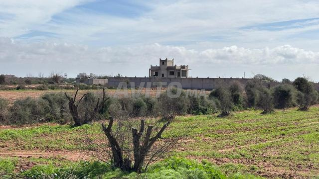 أرض للبيع - أكفاي (منطقة أكادير)