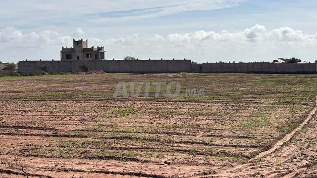 Terrain à vendre – Agafay (région d’Agadir)