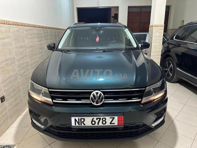 الناظور البستان