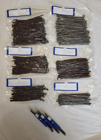 Vanille noire qualité gourmet de Madagascar Bio