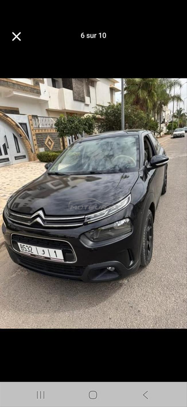c 4 cactus 2019 lmlih