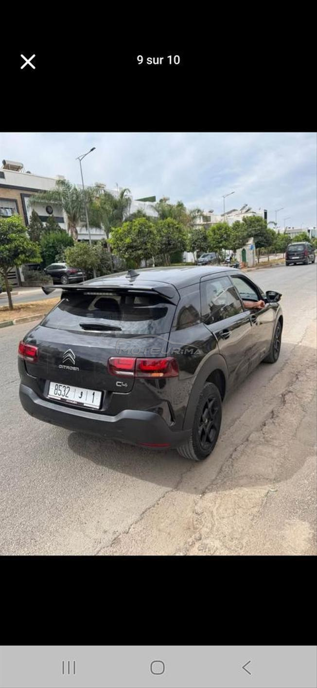 c 4 cactus 2019 lmlih