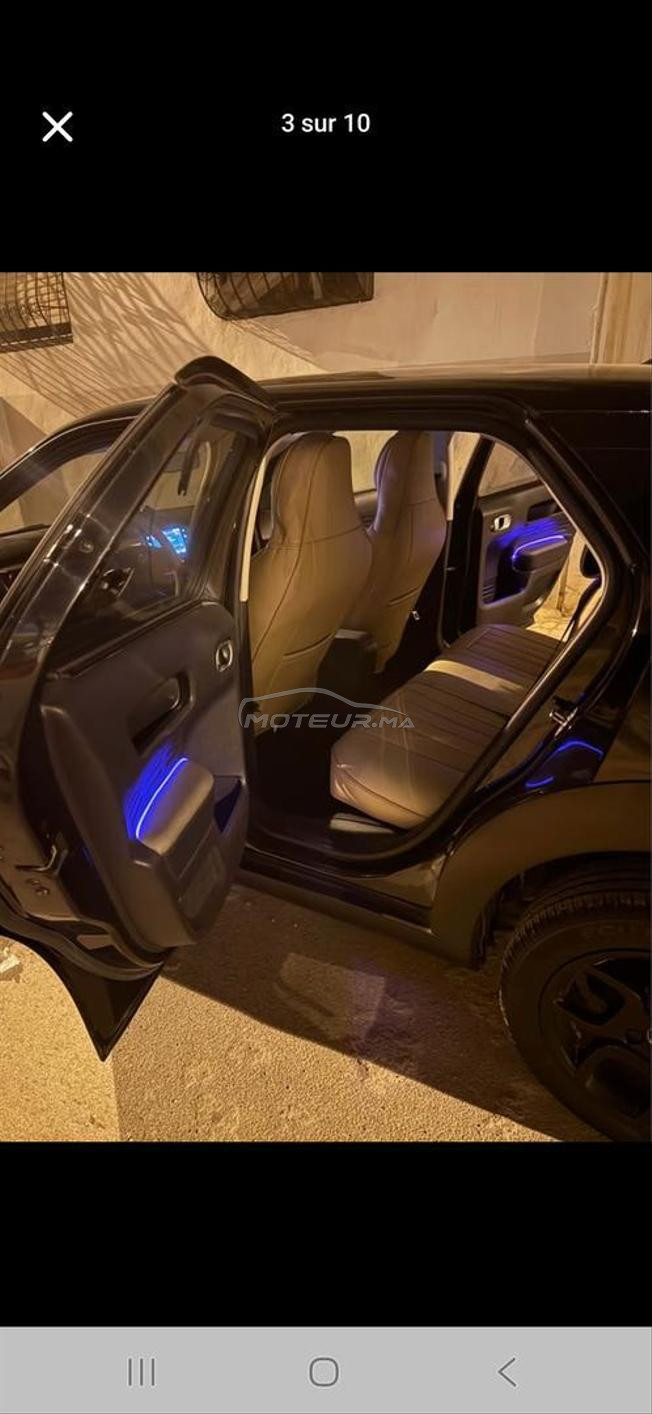 c 4 cactus 2019 lmlih