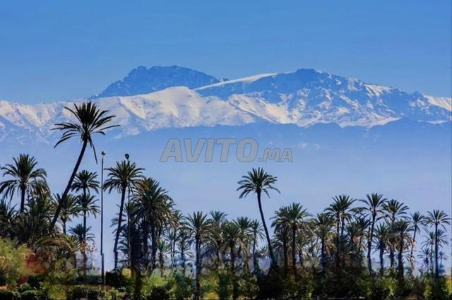 أرض D2 طريق أمزميز كلم 3