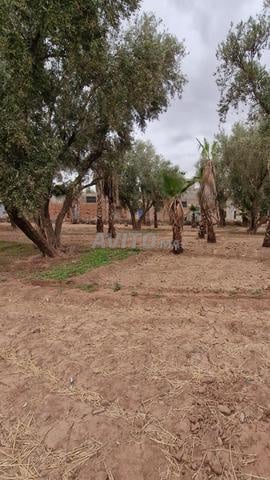 Terrain à vendre propriété Adlia route d'Ourika