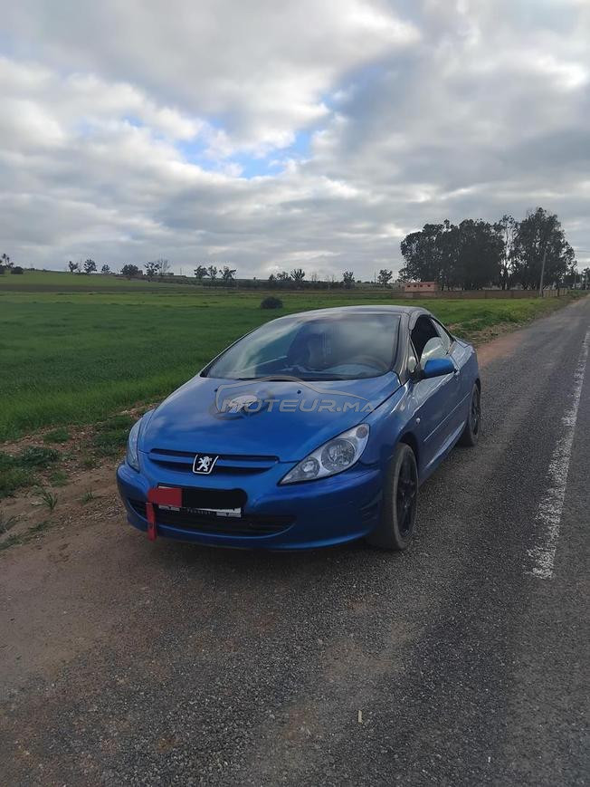 307 peugeot 