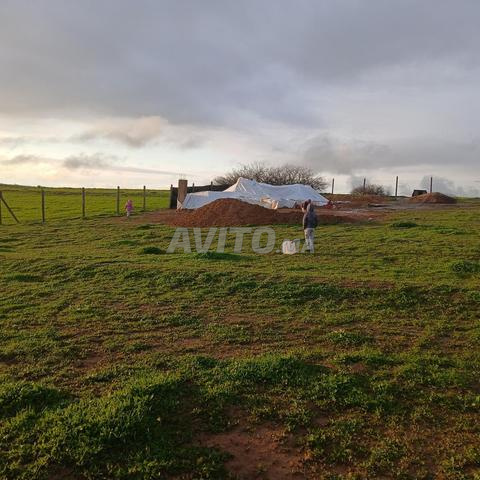 أرض لمزرعة مجهزة، مزرعة مميزة - 2