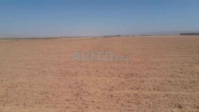أرض 12 هكتار محفظة بأزواريك كلميم للبيع - 2