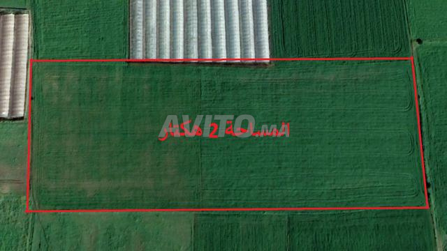 Terrains titrés à vendre à Chtouka avec différentes superficies