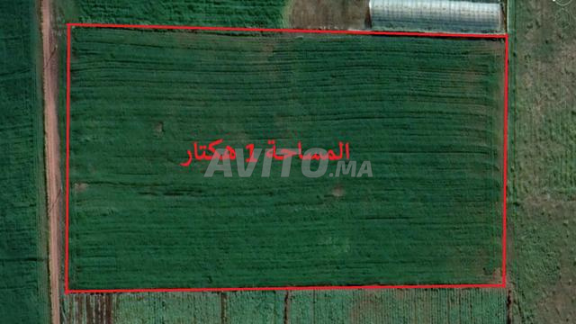 أراضي محفظة للبيع في اشتوكة بمساحات مختلفة - 2