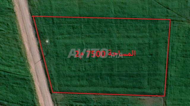 أراضٍ محفظة بمنطقة البئر الجديد للسكن أو الاستثمار
