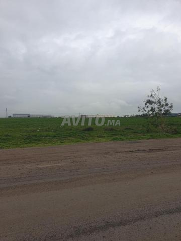 Terrain i2 industriel 17ha Ouled Saleh Bouskoura - 2