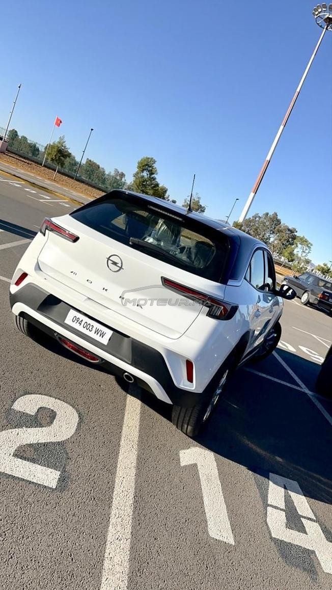 family & luxury car
