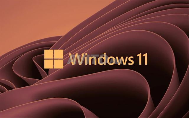 Vente de toutes les versions de Windows à des prix très raisonnables