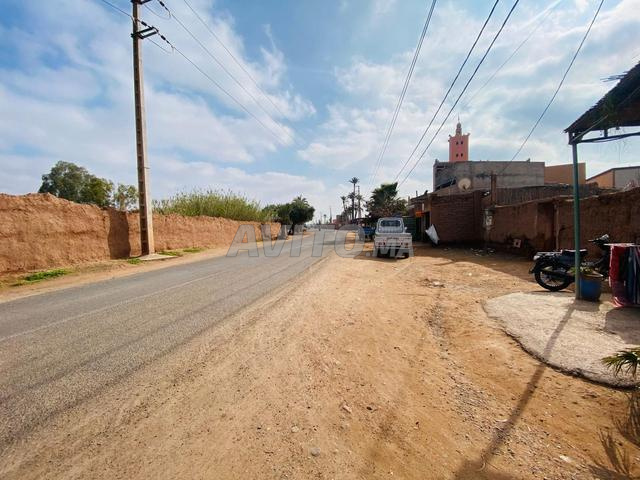 • بقعة أرضية محفظة 600م² جاهزة للاستثمار - 2