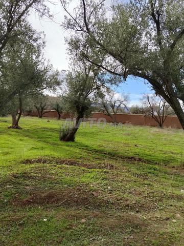 Terrain de 460m² à vendre route d'Ourika Aguerb - 2
