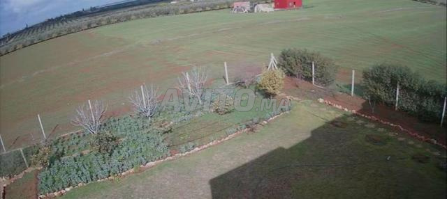 🏡 مزرعة مجهزة للبيع - منطقة الحاجب مكناس - 2