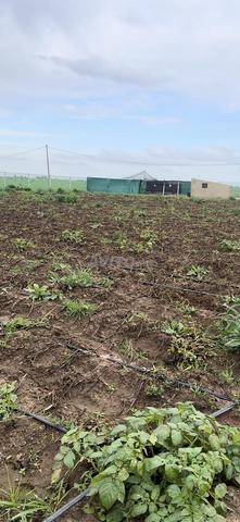 Terrain équipé - 2