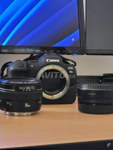 Canon EOS R6 et Adapter EF RF et 50mm 1.4