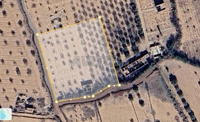 Terrain de 5000 m² avec maison