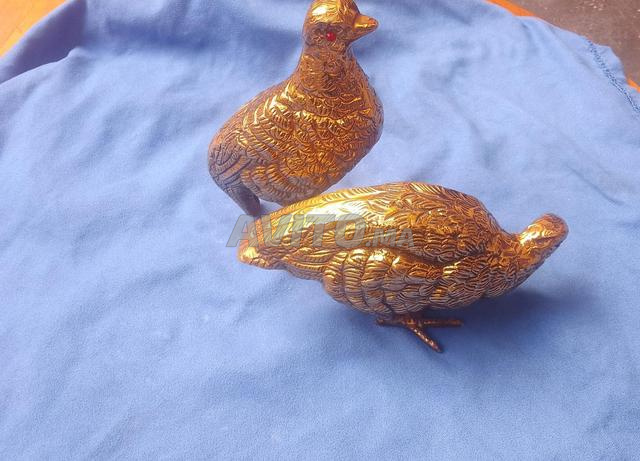 Oiseaux à vendre, je ne sais pas si c'est de l'or ou du cuivre