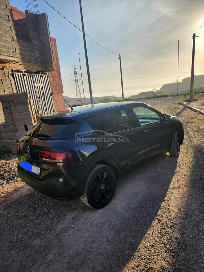C4-cactus 2020