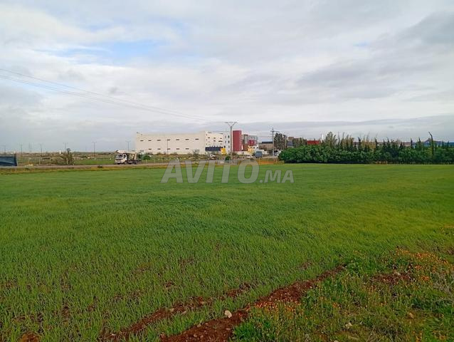 أرض على جانب الطريق للبيع