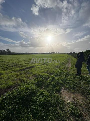 Terrain 1.7 Ha titré - Bir Jdid - 3 Puits