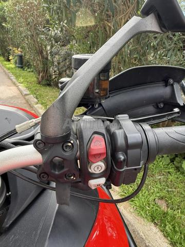 دوكاتي ملتيسترادا 950S تورينغ باك - 2