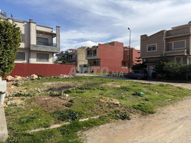 قطعة أرض فيلا في رياض تولال