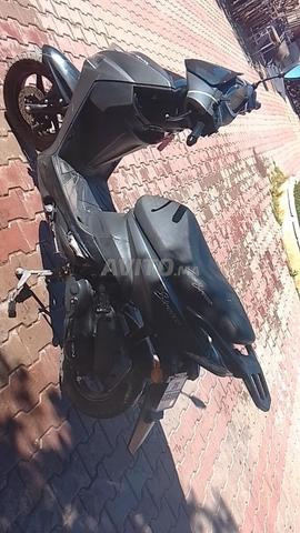 مراكش سعادة