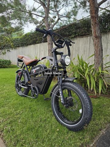 Draîche électrique Harley / Livraison gratuite dans toutes les villes - 2