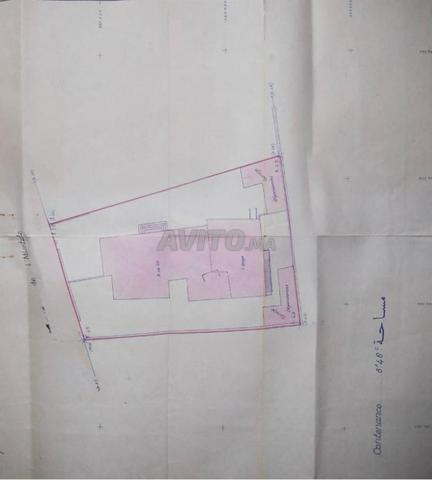 Terrain à polo Zone D3