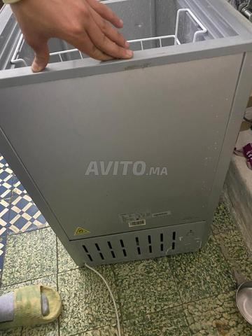 كونجيلاتور في حالة جيدة