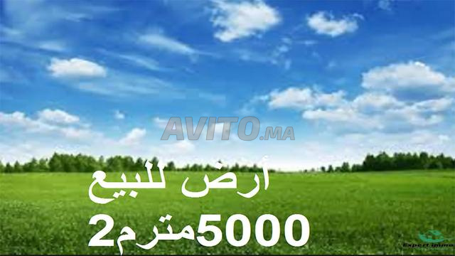 أراضي محفظة بسيدي رحال للسكن والاستثمار - 2
