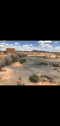 🌴 فرصة أرض نادرة - بالقرب من مراكش✨