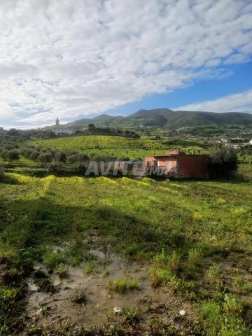 Terrain à vendre près de Tétouan, route de Tanger